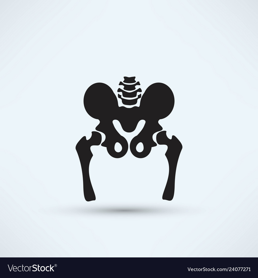 Pelvis skeleton silhouette icon