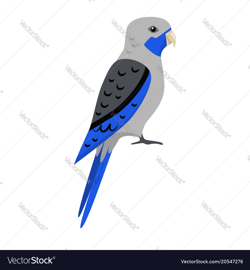 Blue rosella parrot icon in flat style