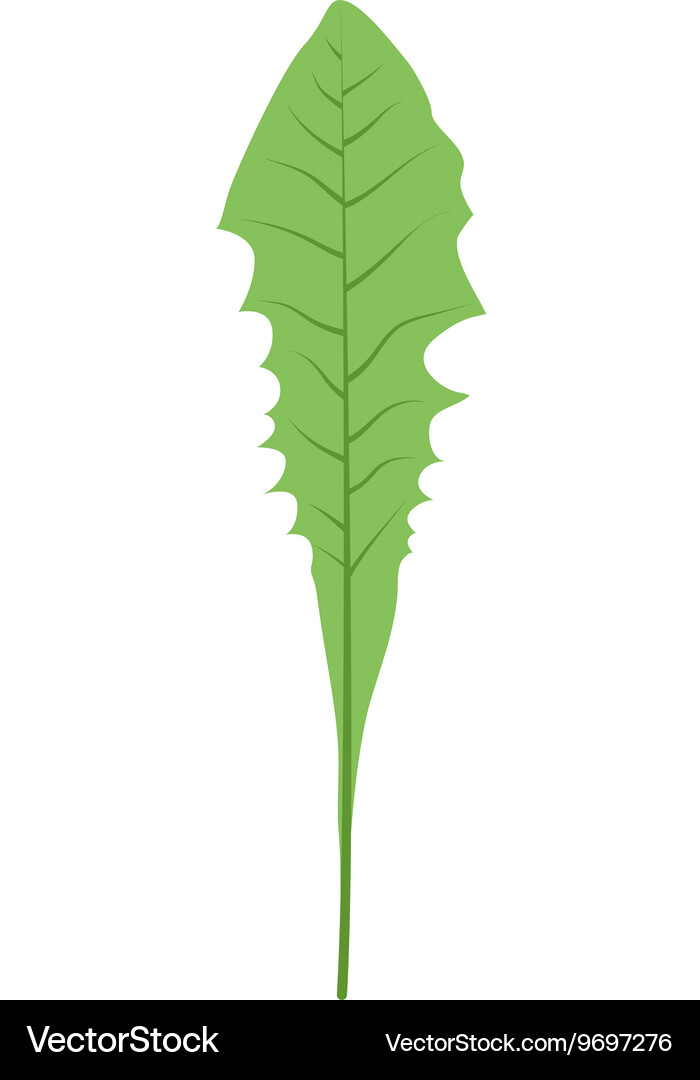 Leaf icon Royalty Free Vector Image - VectorStock