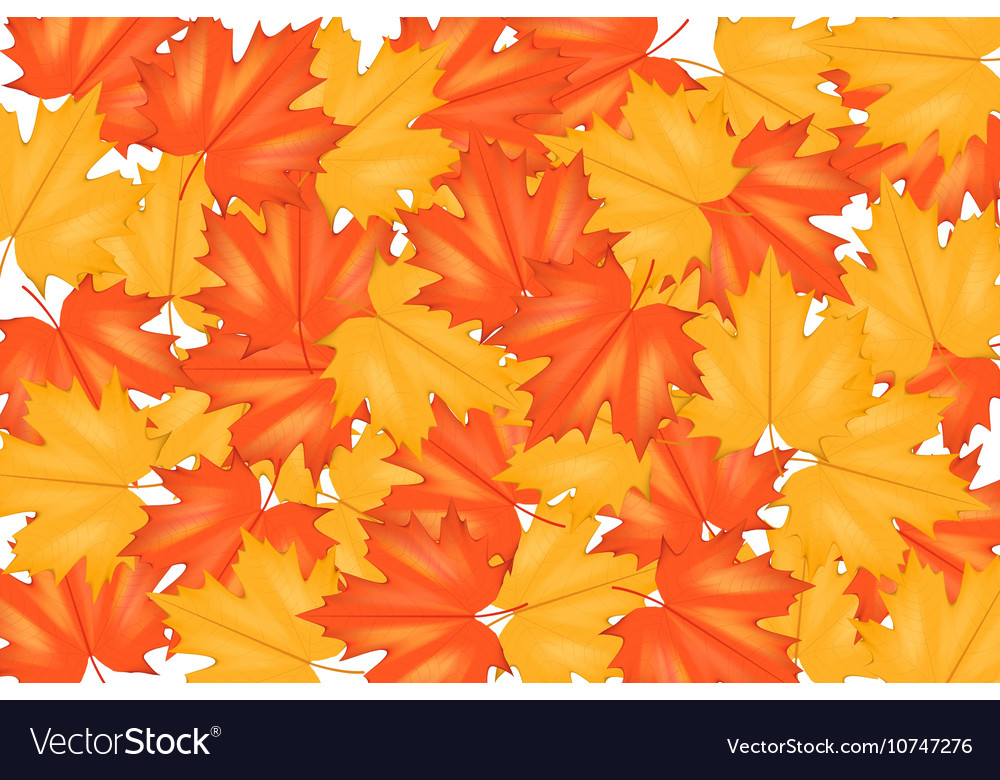 Red and yellow autumn leaves pattern