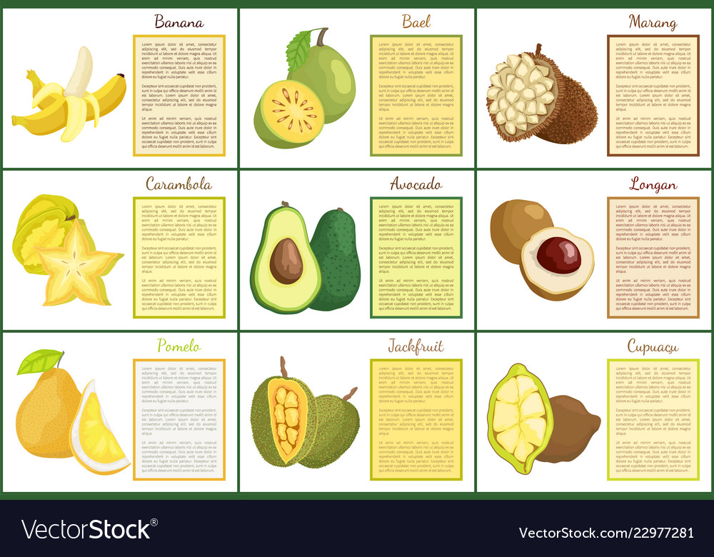 Banana and bael avocado posters set