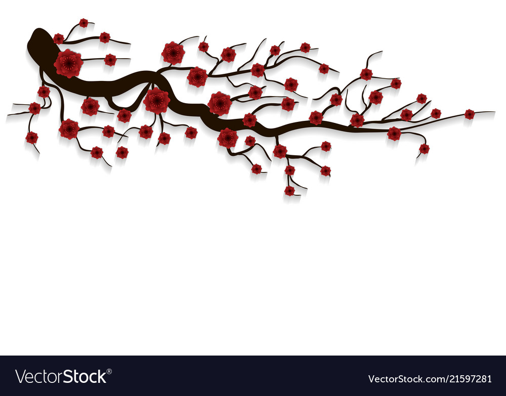 Cherry blossom for chinese new year and mid vector image Cherry blossom for chinese new year and mid