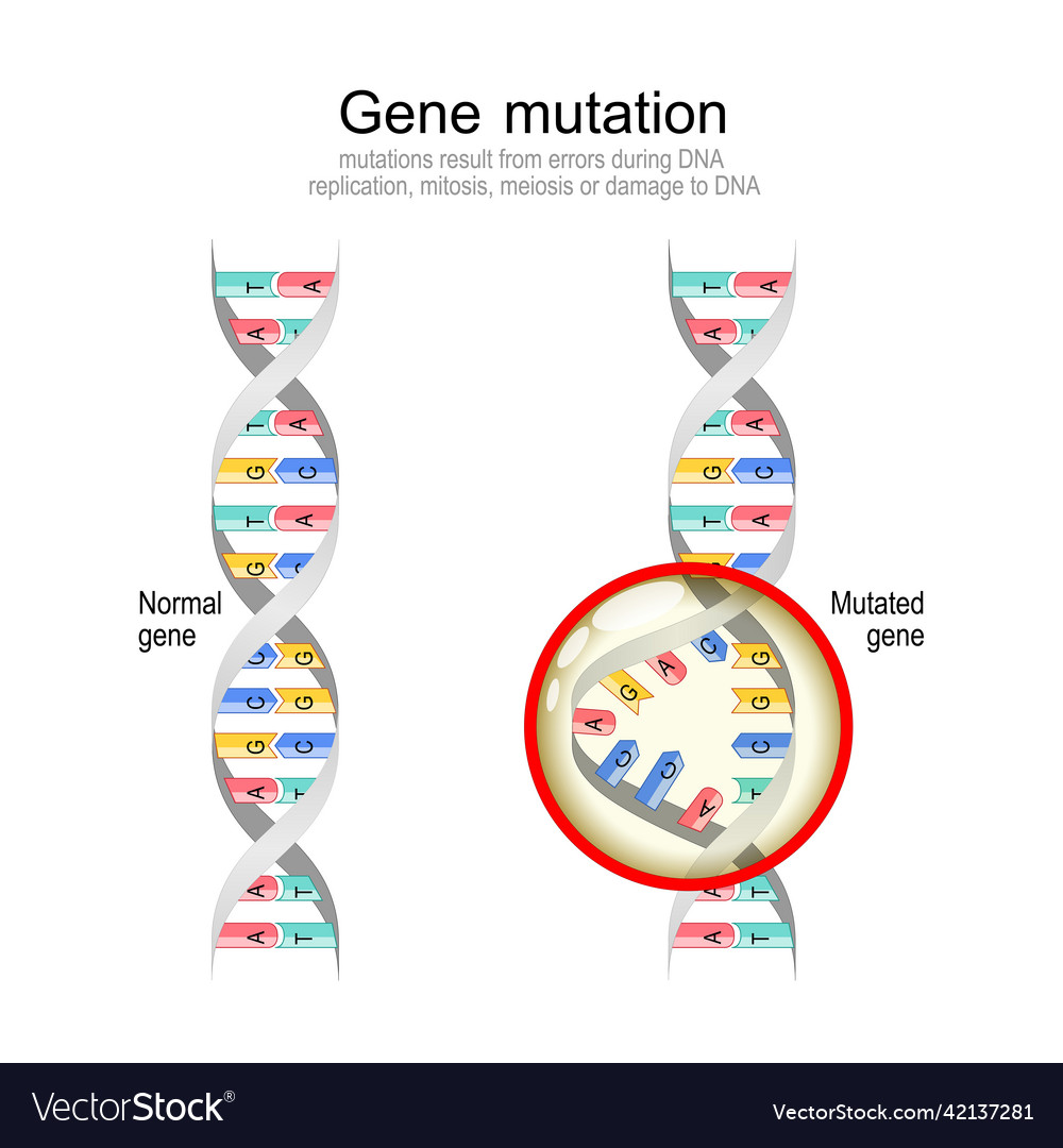 DNA Mutation and Helix Structure