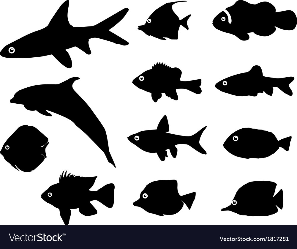 Download Fish silhouettes Royalty Free Vector Image - VectorStock