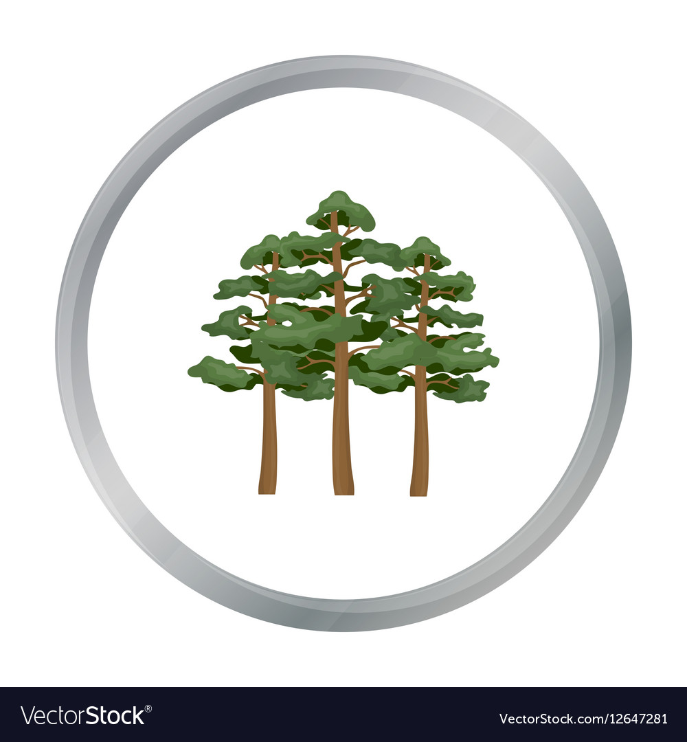 Pine icon in cartoon style for web