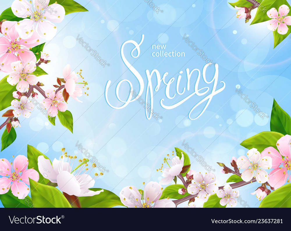 Spring collection background vector image Spring collection background