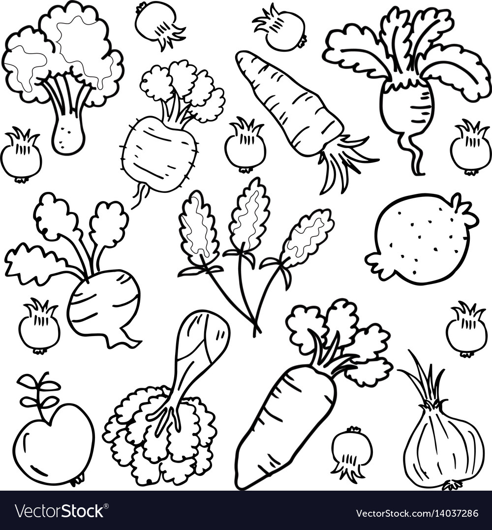 Art of vegetable set doodles Royalty Free Vector Image