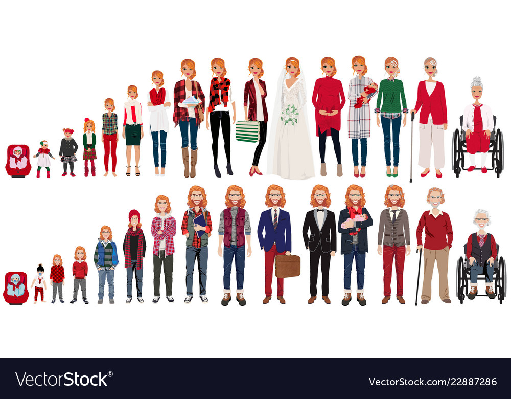 Cycle Of Life Male And Female In Christmas Vector Image