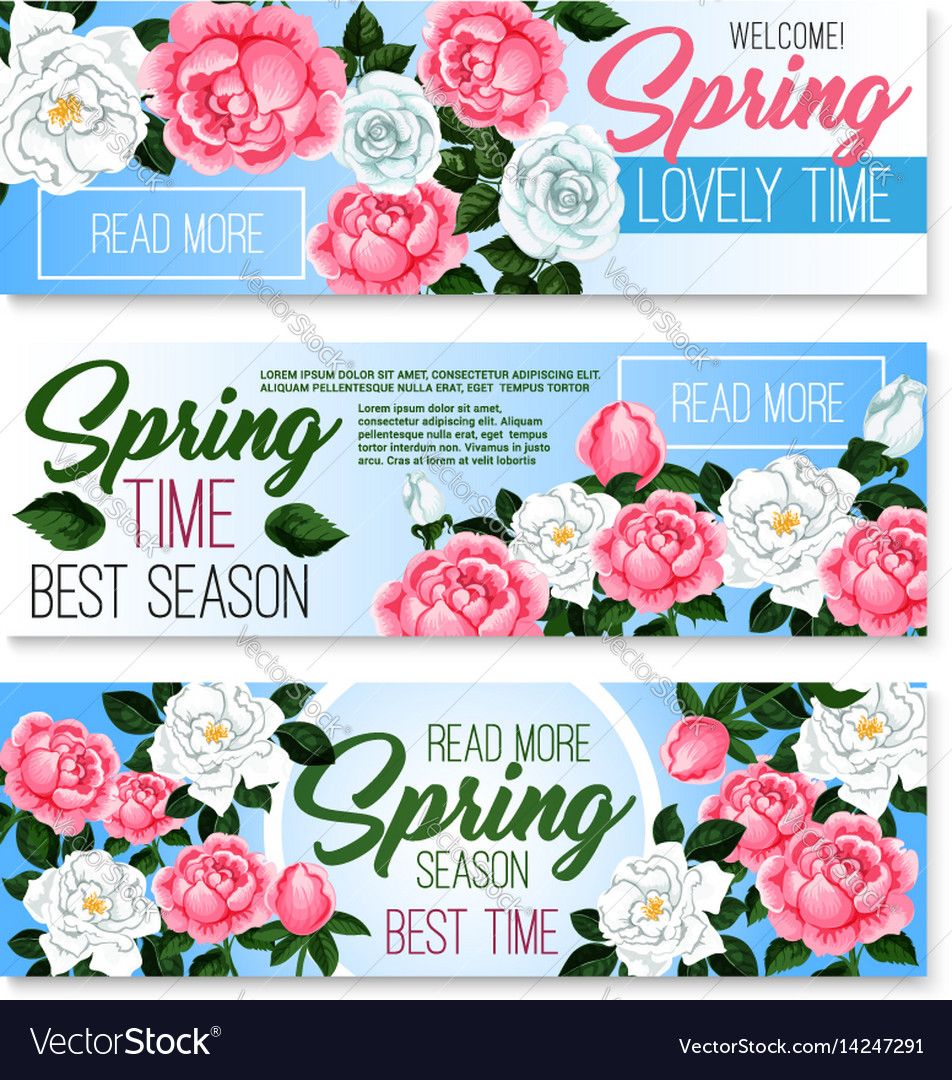 Banners of spring time roses bunches Royalty Free Vector