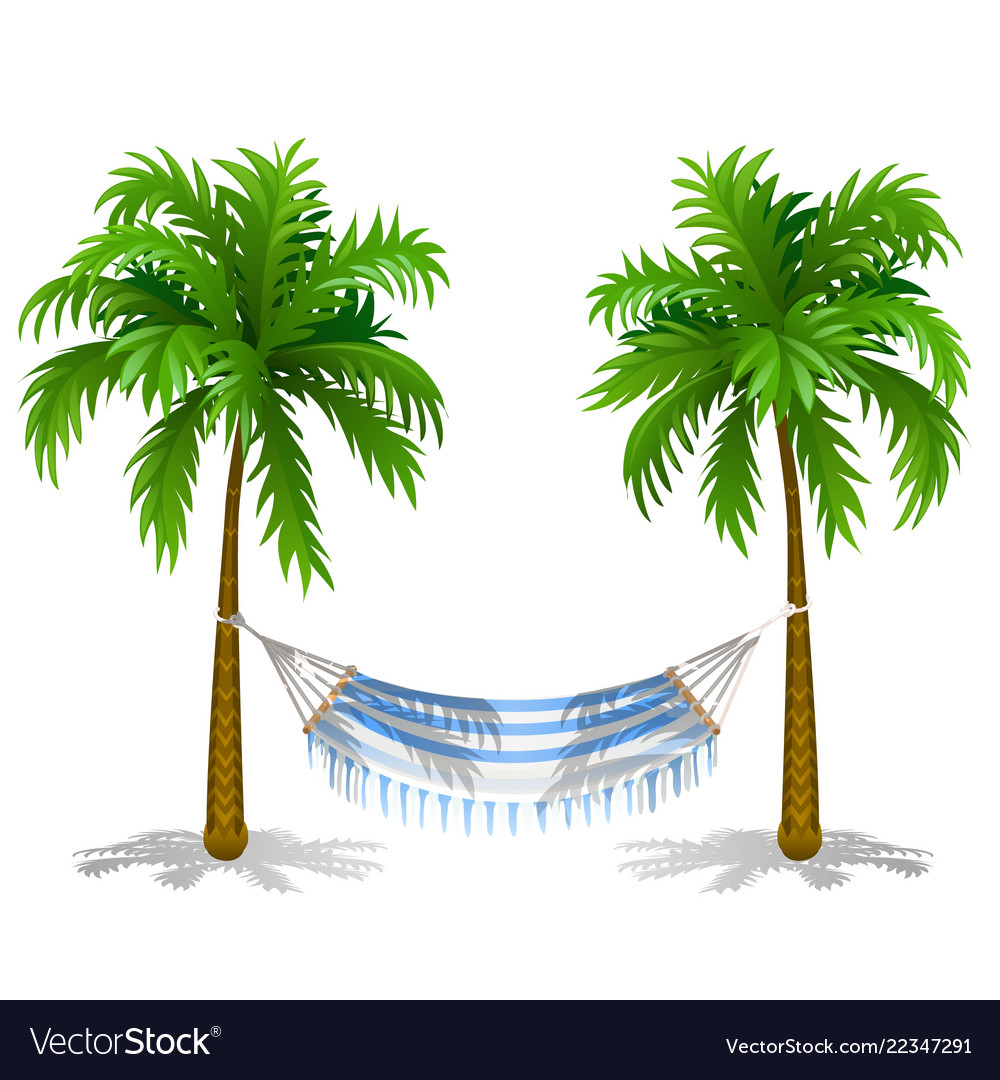 hammock between two trees