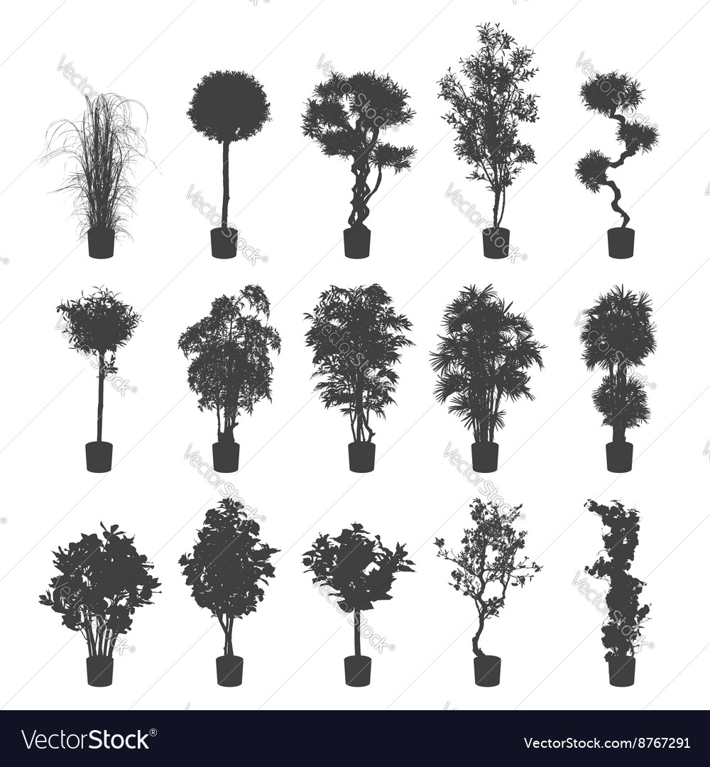 indoor home office plants royalty. house and office plants silhouette set vector image indoor home royalty