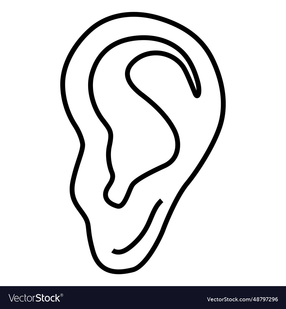 Ear earlobe stroke Royalty Free Vector Image - VectorStock