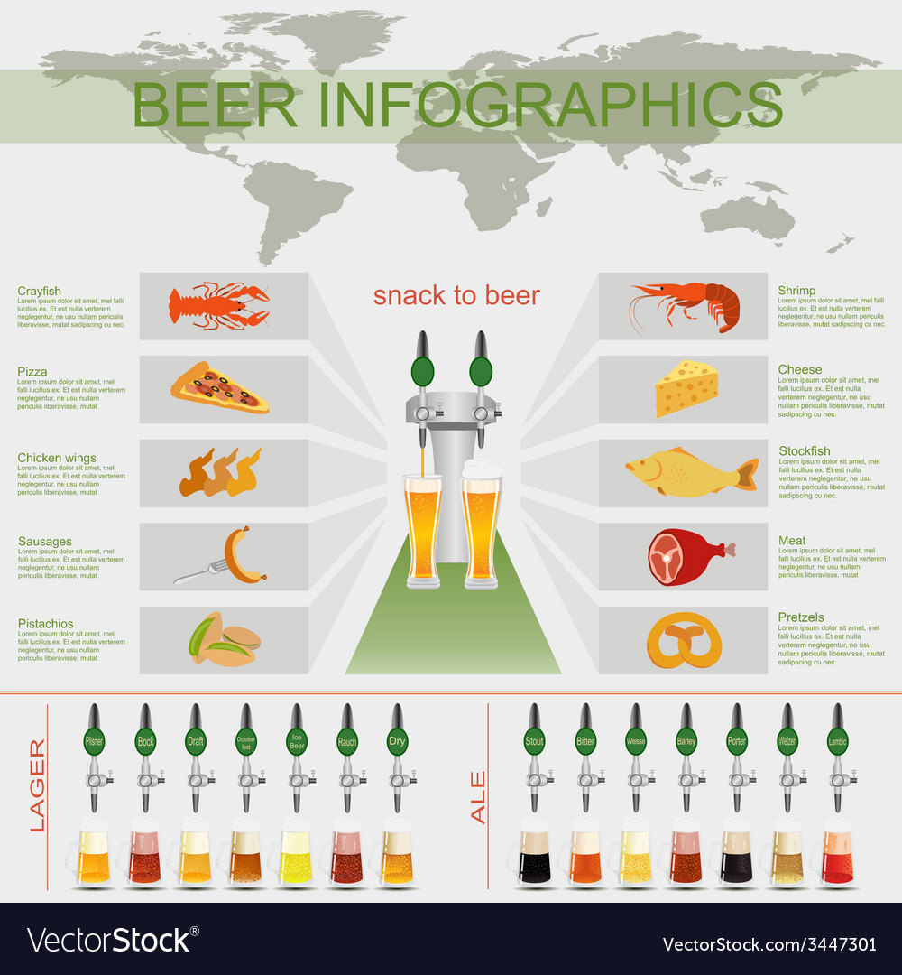 Beer snack infographics set elements for creating