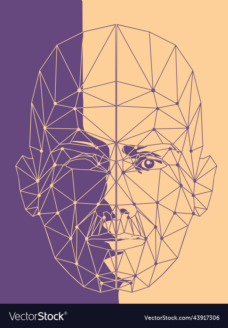 Abstract Wireframe Head Mesh
