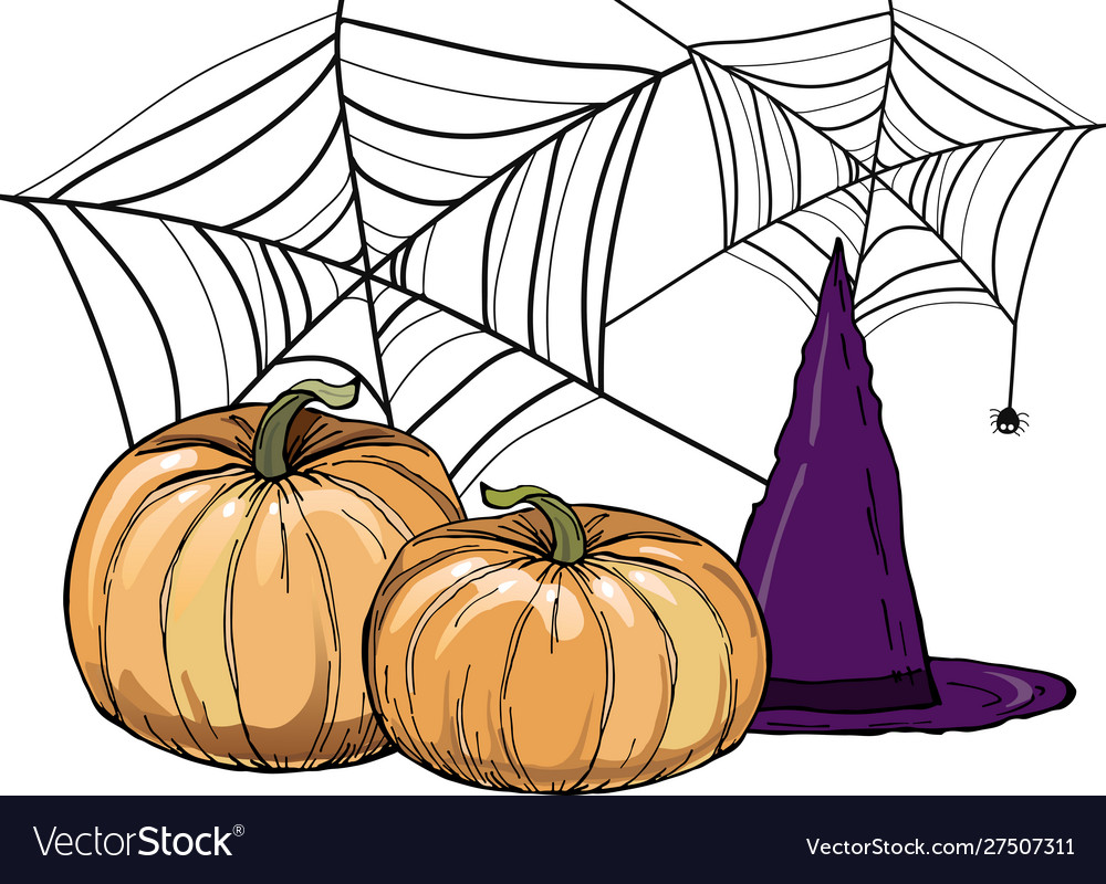 Halloween pumpkins witch hat web on white