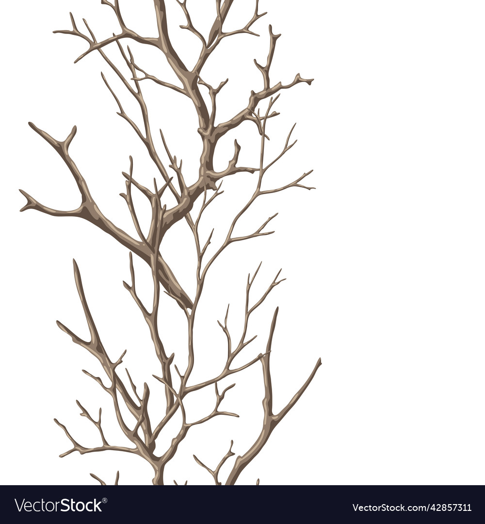 Seamless pattern with dry bare branches Vector Image Seamless pattern with dry bare branches