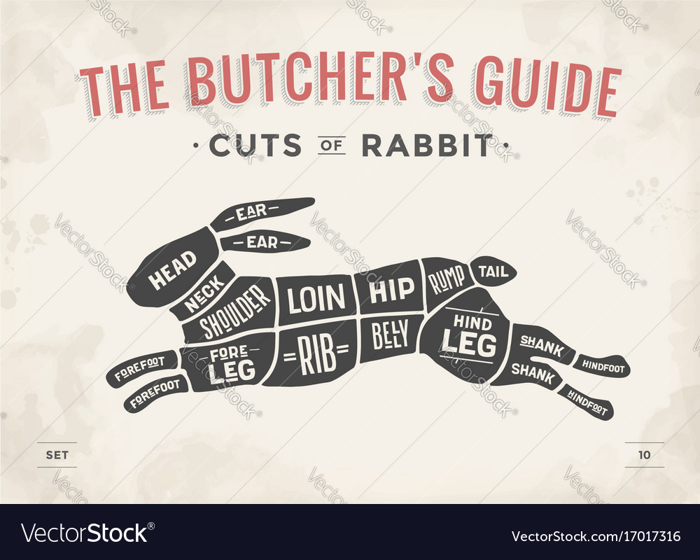 Cut Of Meat Set Poster Butcher Diagram Scheme Vector Image