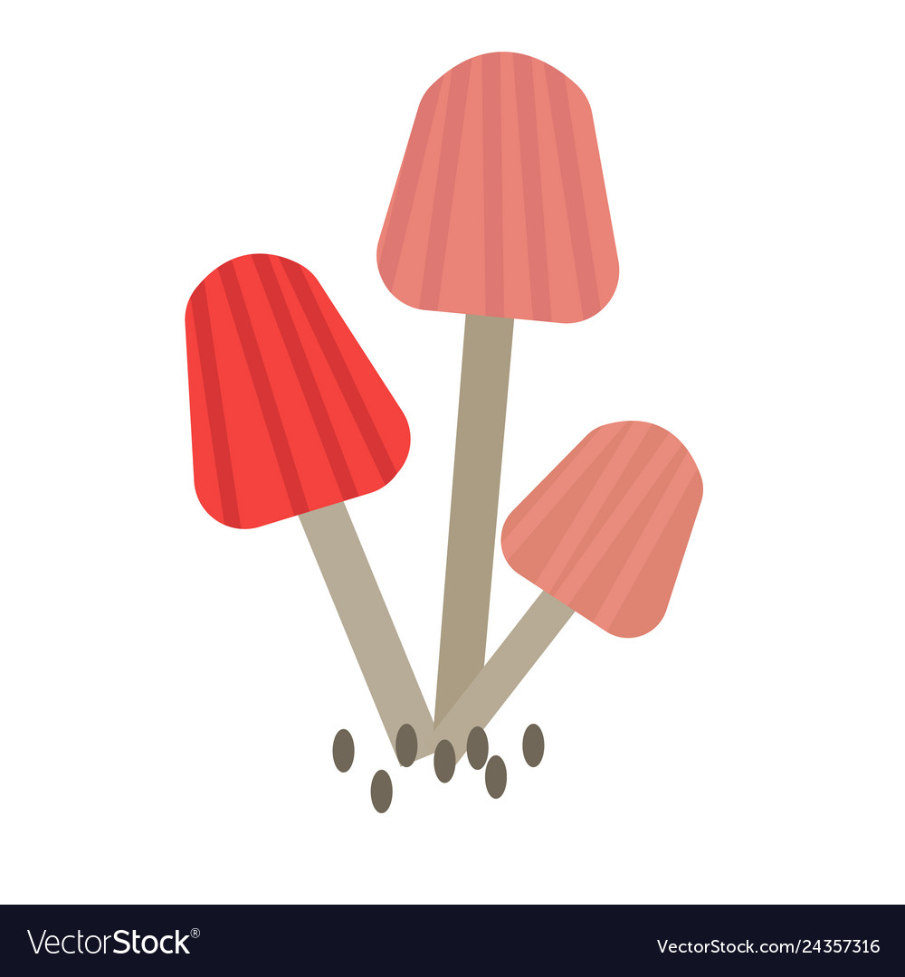 Forest mushroom color simple