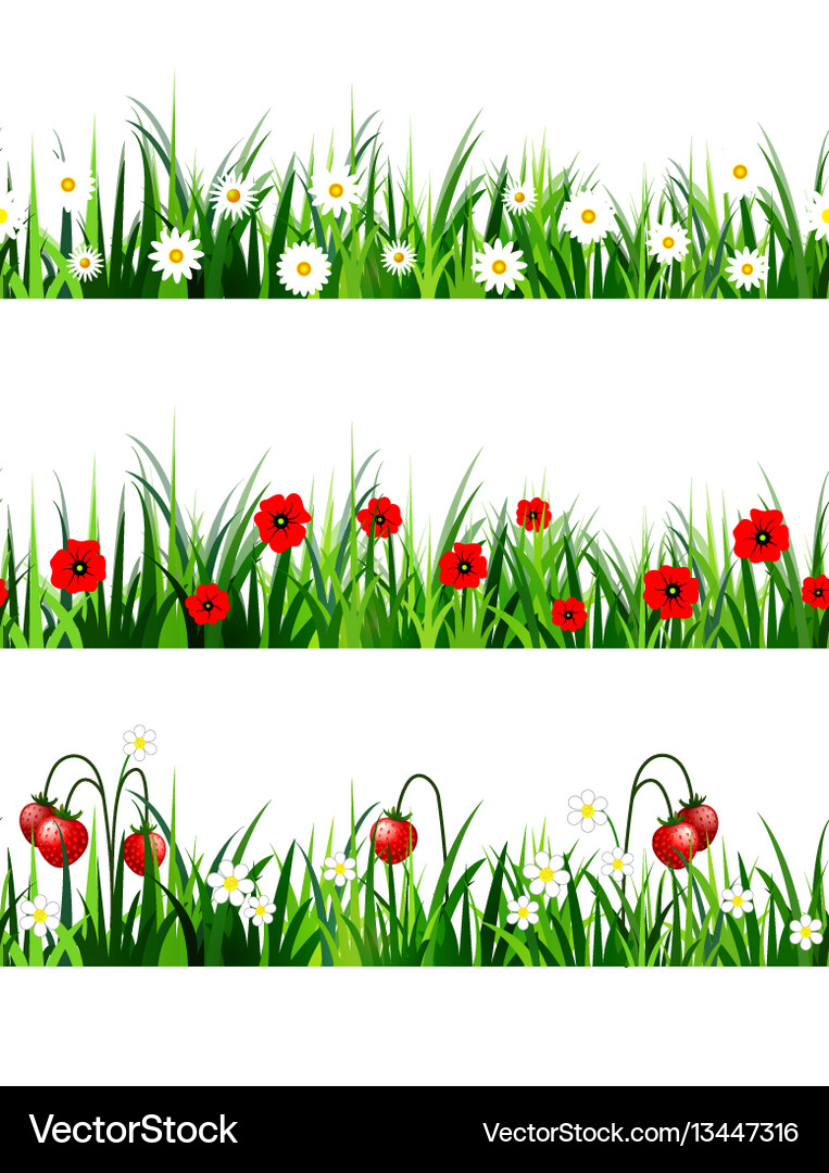 Green grass seamless set Royalty Free Vector Image