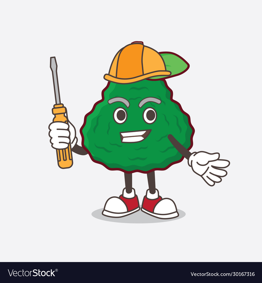 Kaffir lime cartoon mascot character as smart