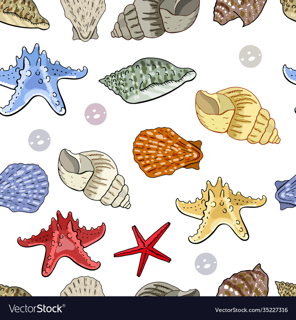 Seamless pattern with seashells isolate on white
