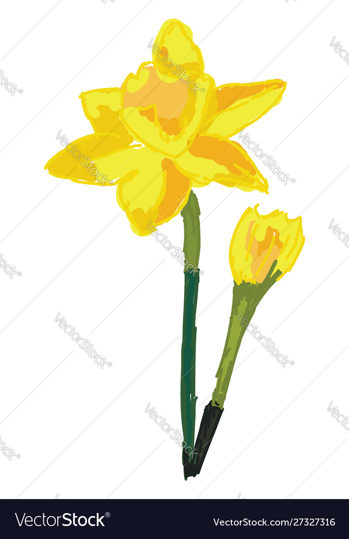 Yellow flower on white background