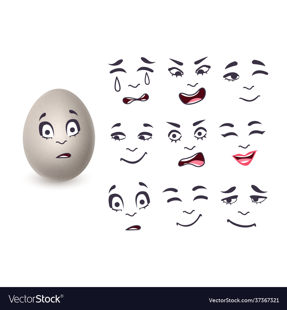 Eggs in a realistic style with different Vector Image Eggs in a realistic style with different