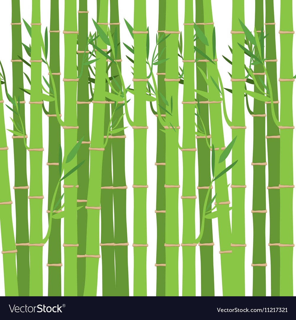 Green bamboo plant