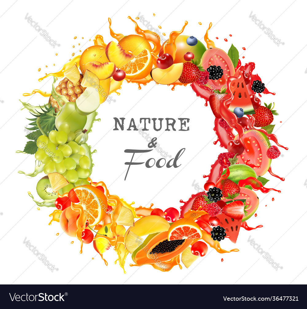 Round frame fresh fruit and berries in juice vector image Round frame fresh fruit and berries in juice