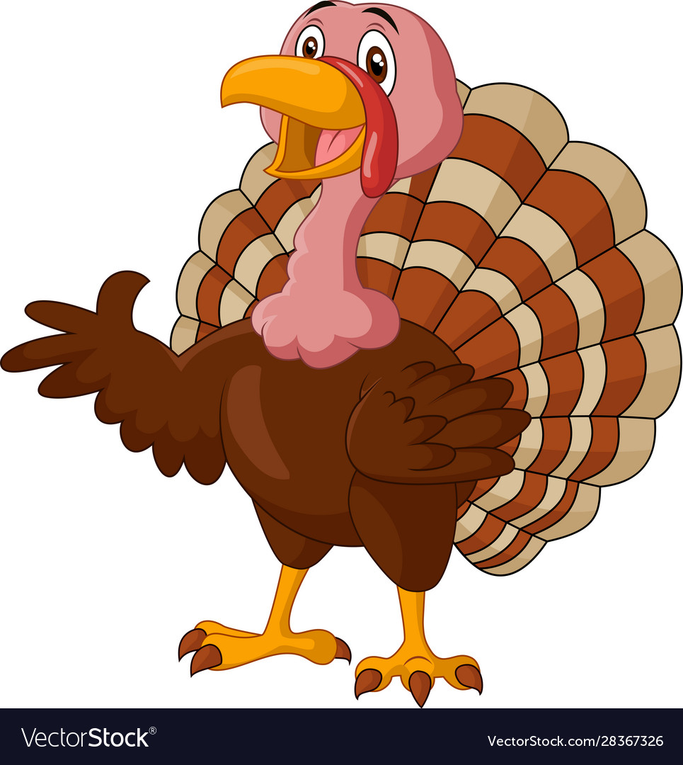 Cartoon turkey presenting on white background