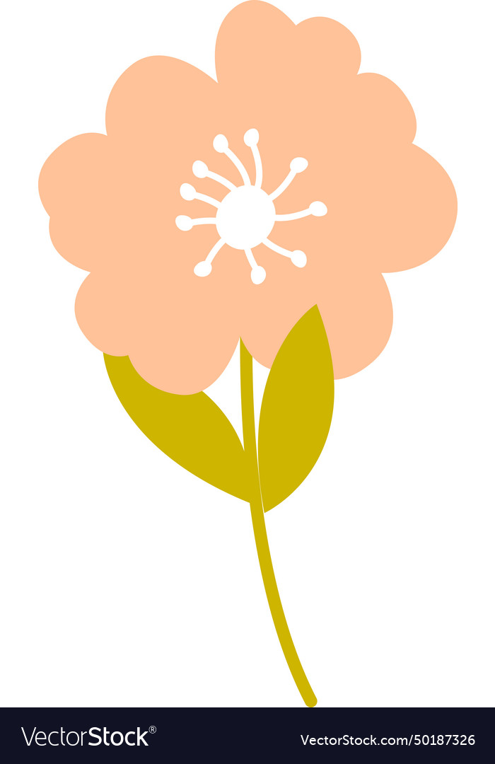 Spring flower plant Royalty Free Vector Image - VectorStock