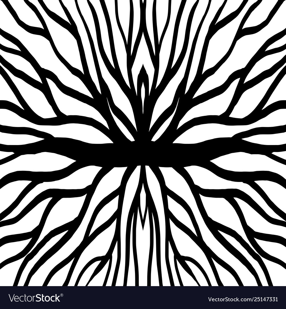 Root Network Pattern