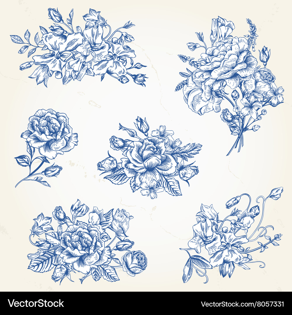 Set floral design elements Royalty Free Vector Image
