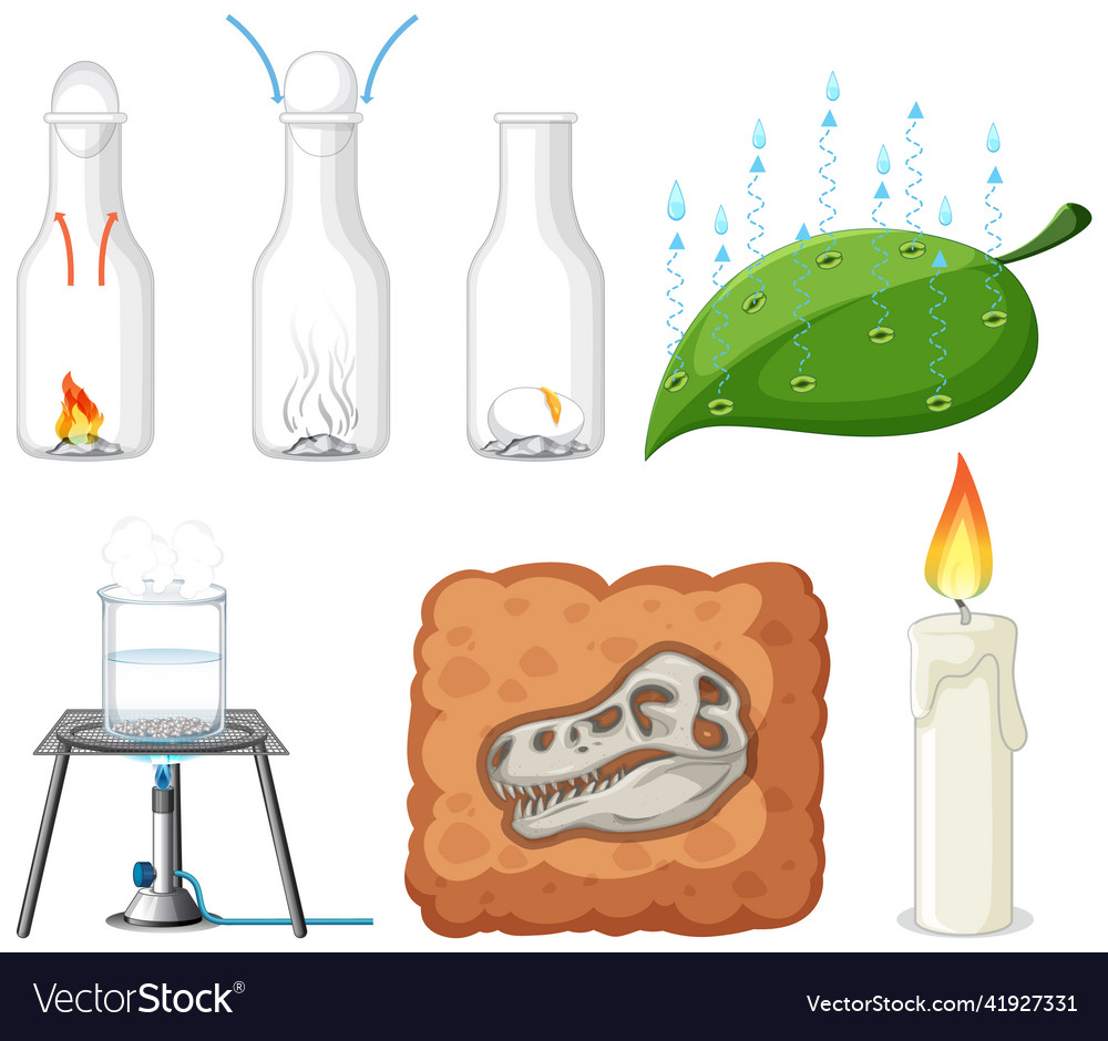 Set of equipment needed for science experiment vector image Set of equipment needed for science experiment