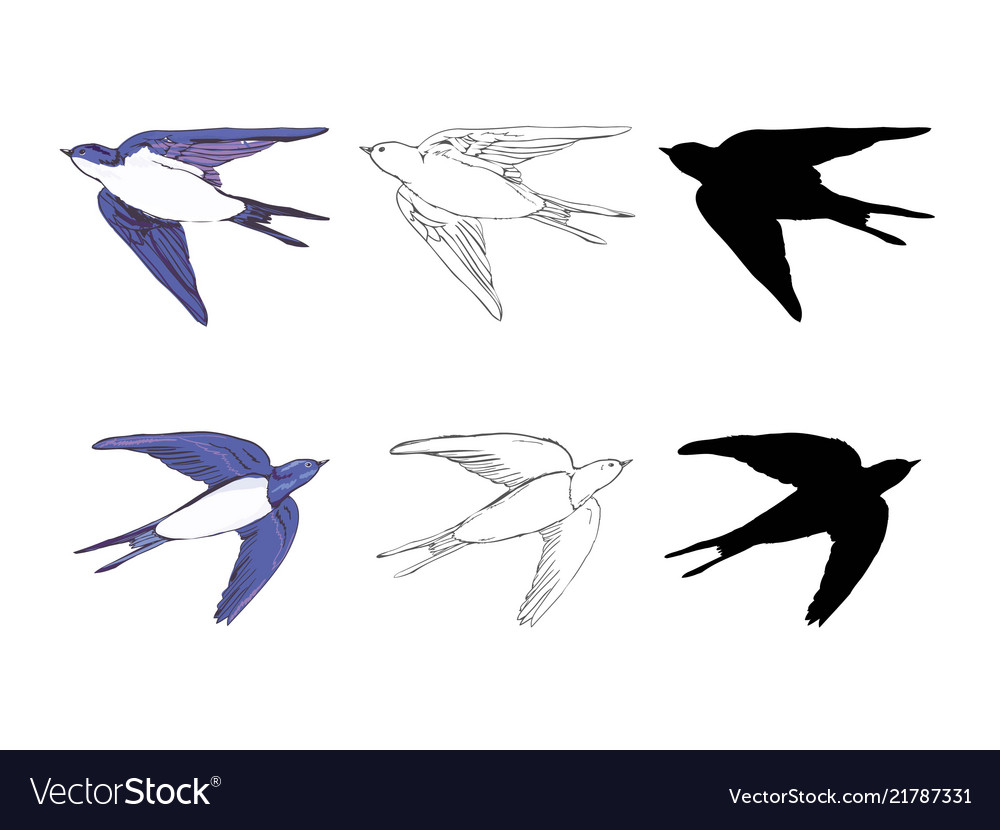 Set swallow icons design elements vector image Set swallow icons design elements