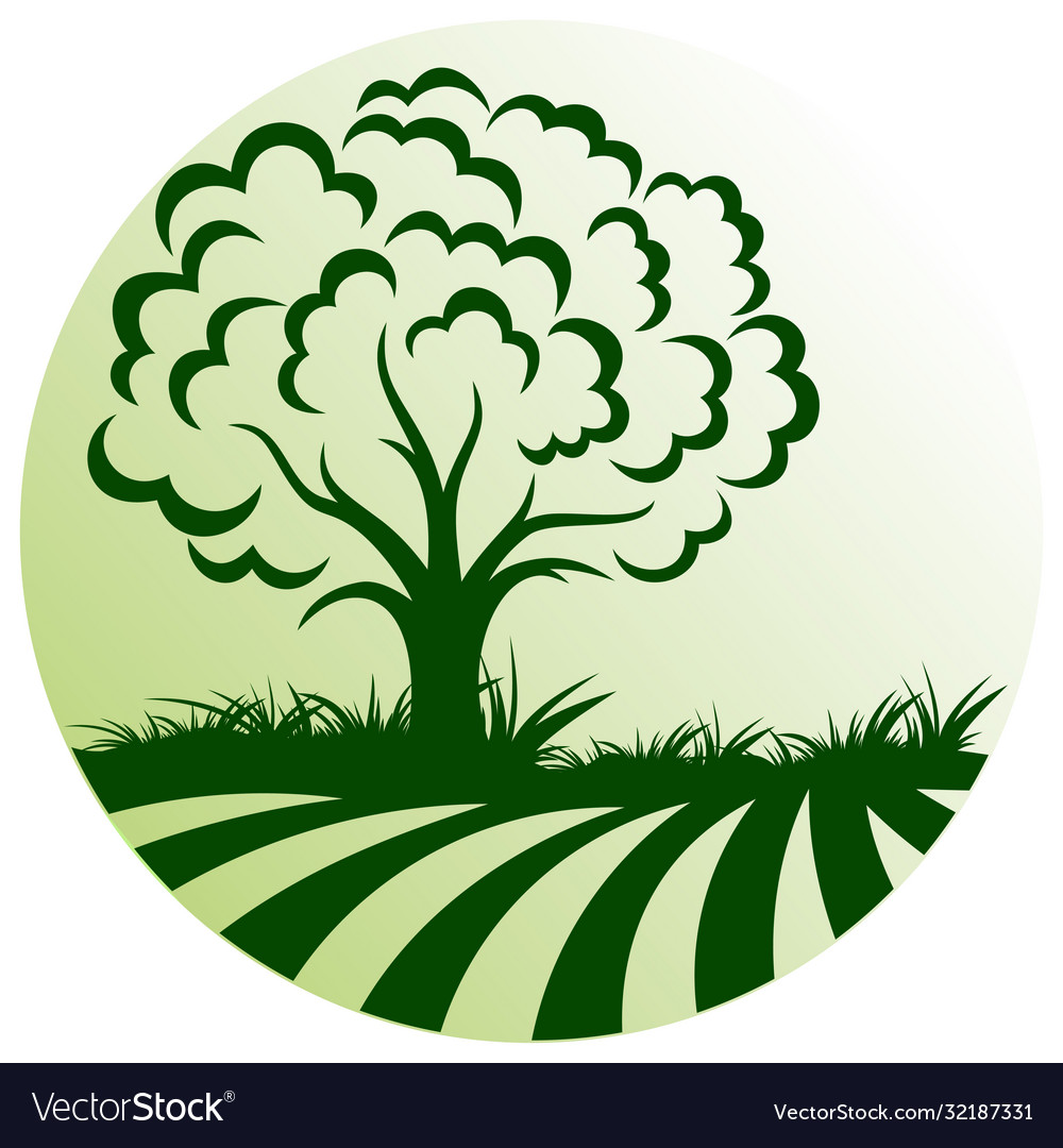Symbol field and tree