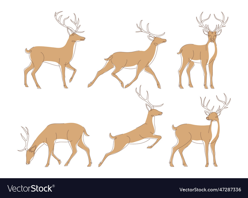 Set of deer in continuous line art drawing style