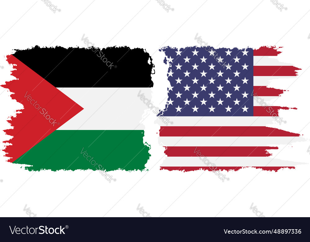 United states and palestine grunge flags Vector Image