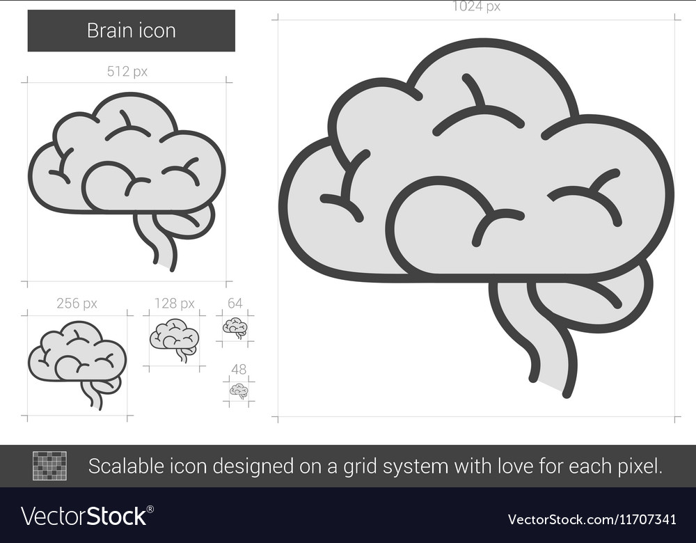 Brain line icon