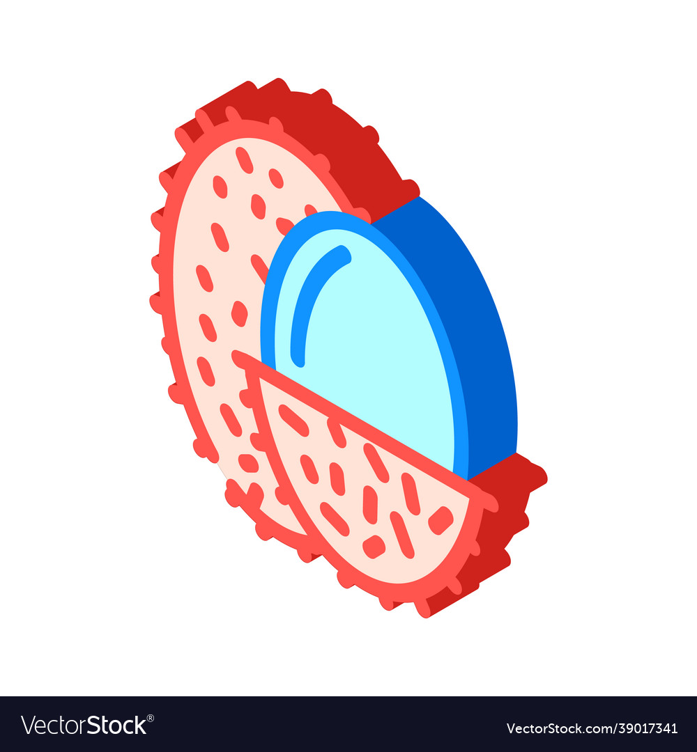 Lychee fruit isometric icon