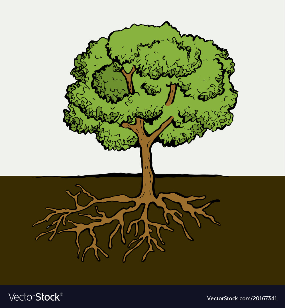 Tree with roots and leafs image Royalty Free Vector Image