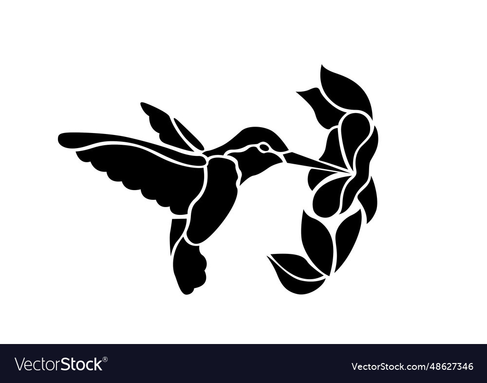 Black and white hummingbird with leaves