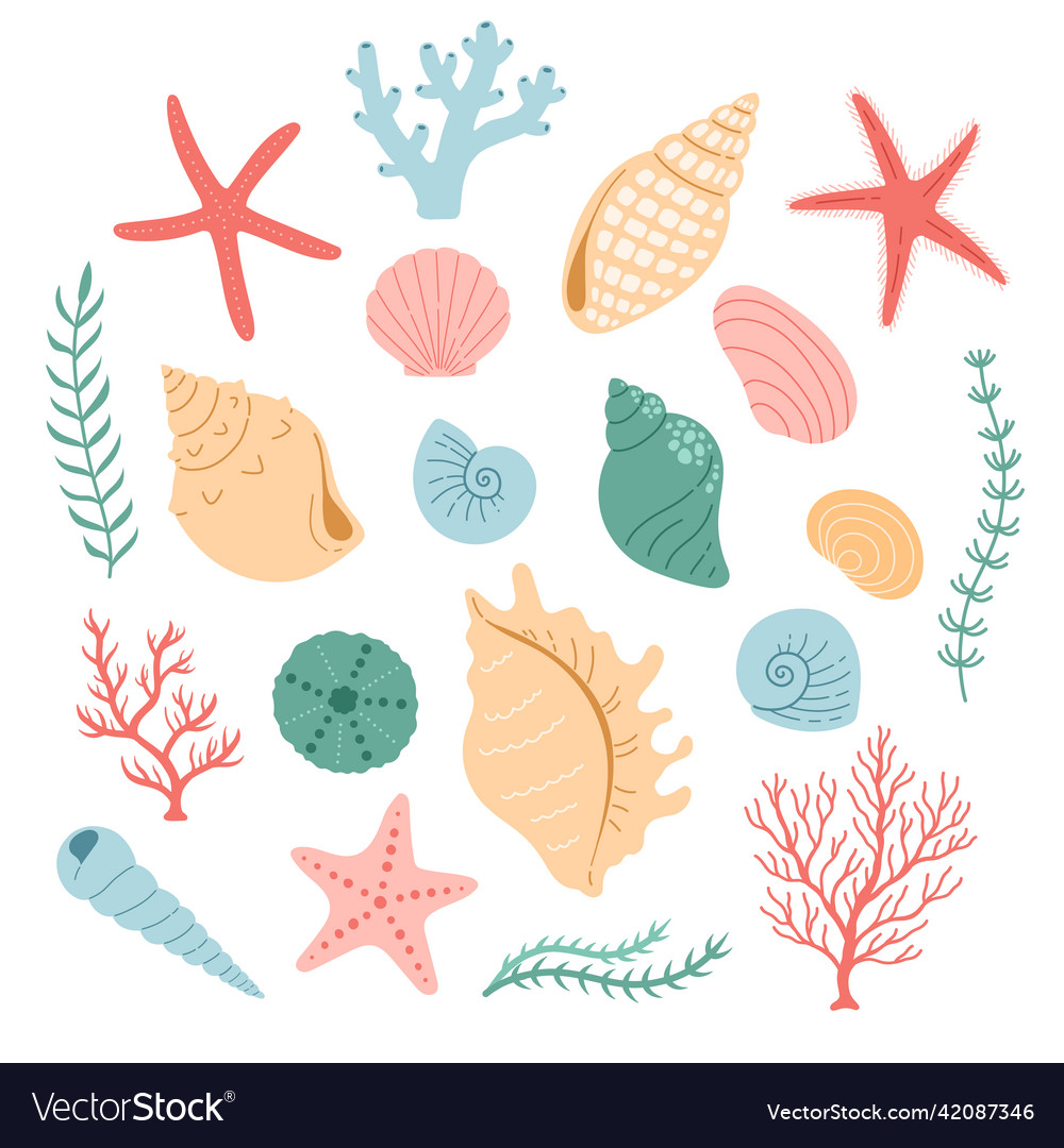 Coral Seashell Flat Vector Art
