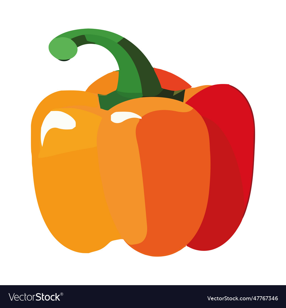 Fresh organic vegetable bell pepper icon