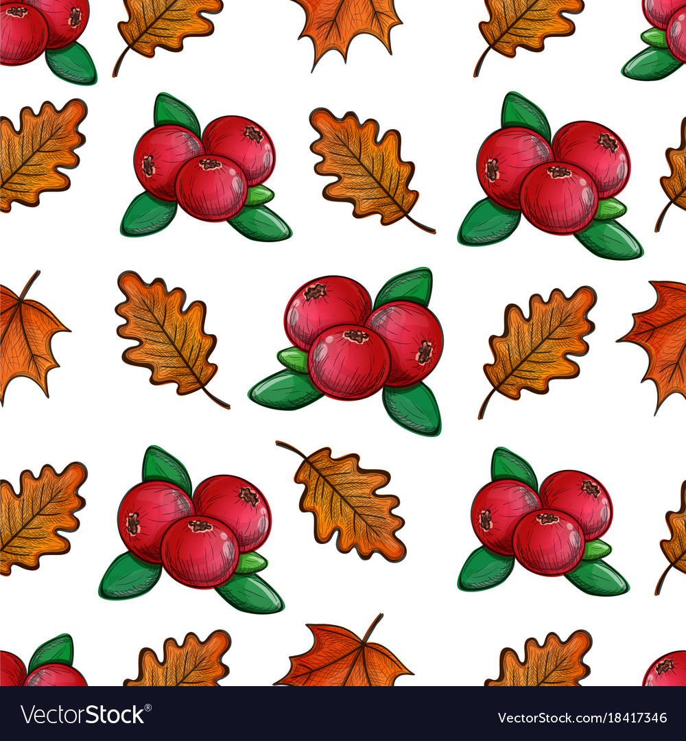 Seamless pattern with cranberries