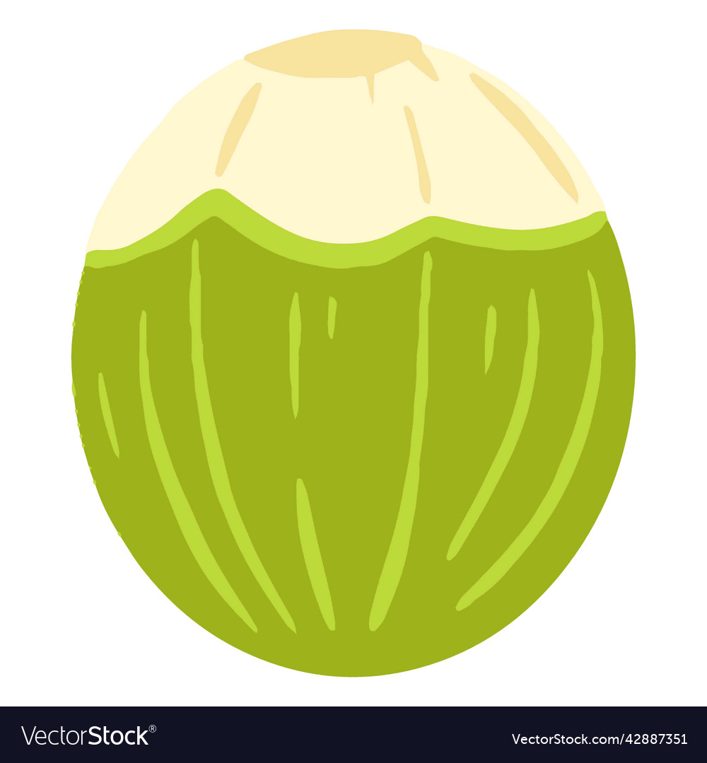 Green coconut design high quality Royalty Free Vector Image