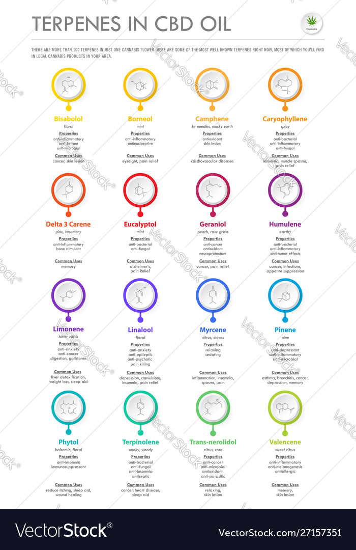 CBD Terpenes