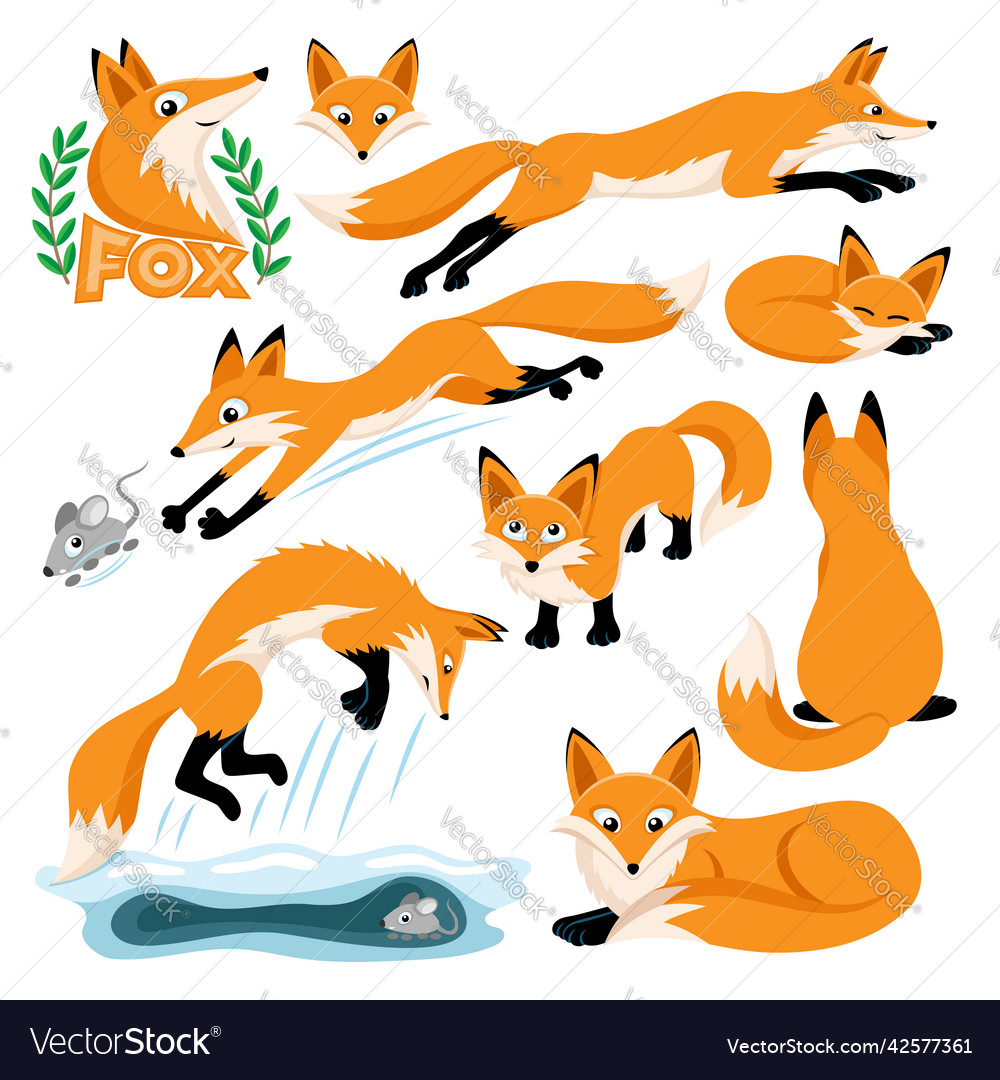 Adorable Fox Set