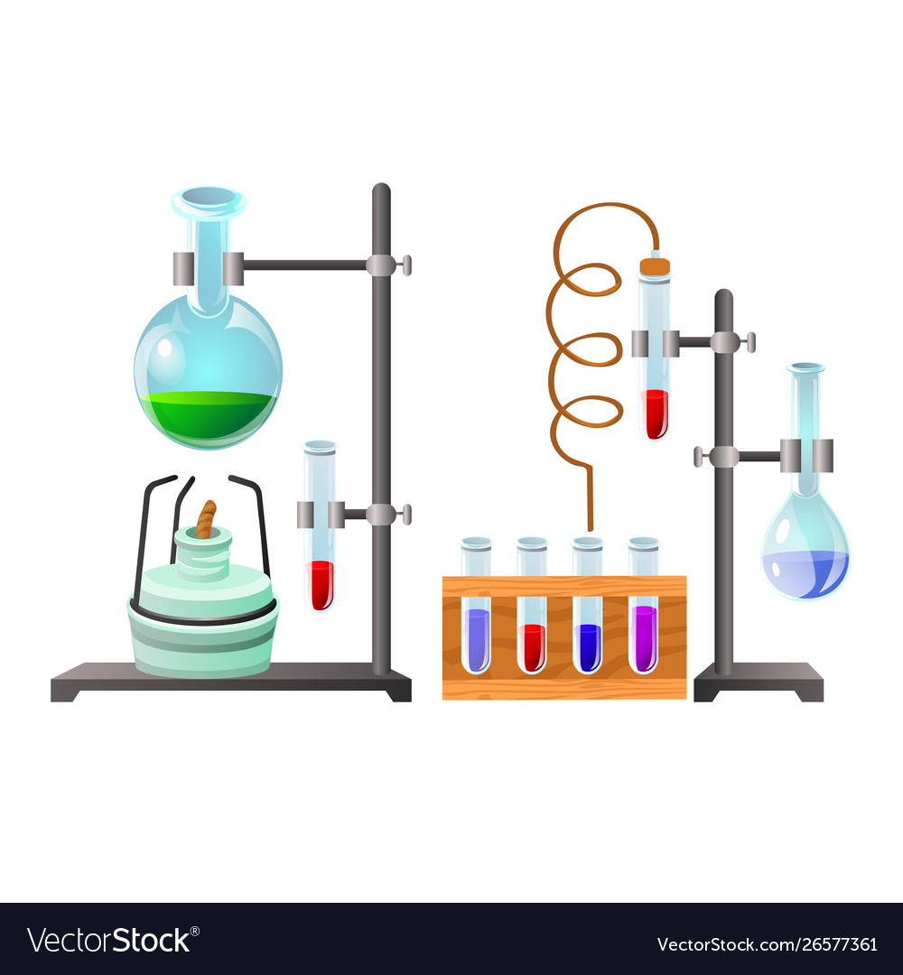 Vials with liquid reagents chemistry lesson Vector Image
