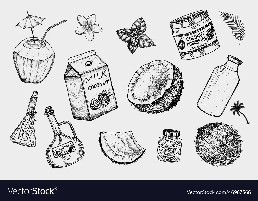 Coconut and palm leaf milk packaging glass Vector Image